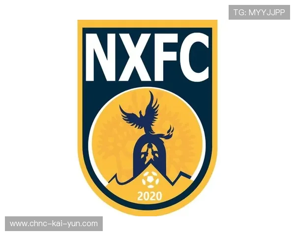 足球迷的“战袍”：自制球队T恤大赏，自制足球队徽